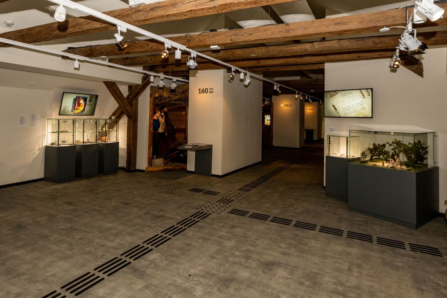 Muzeum Archeologiczne w Krakowie