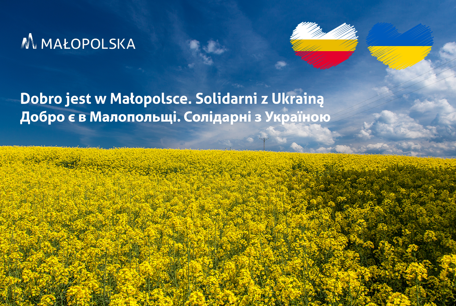 Pole rzepaku na tle niebieskiego nieba. Napis w języku polskim i ukraińskim Dobro jest w Małopolsce. Solidarni z Ukrainą