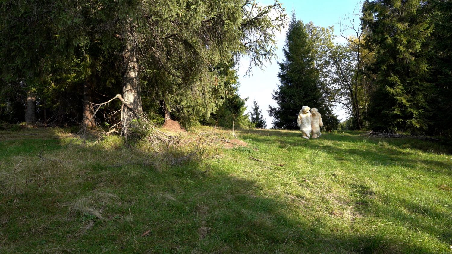 Wystawa w Muzeum Tatrzańskim